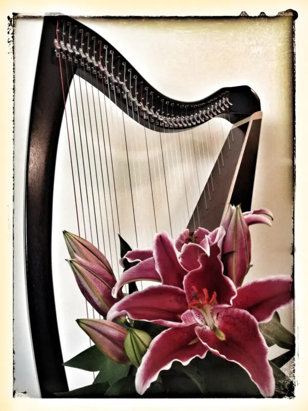 A harp and flowers are sitting on the floor.