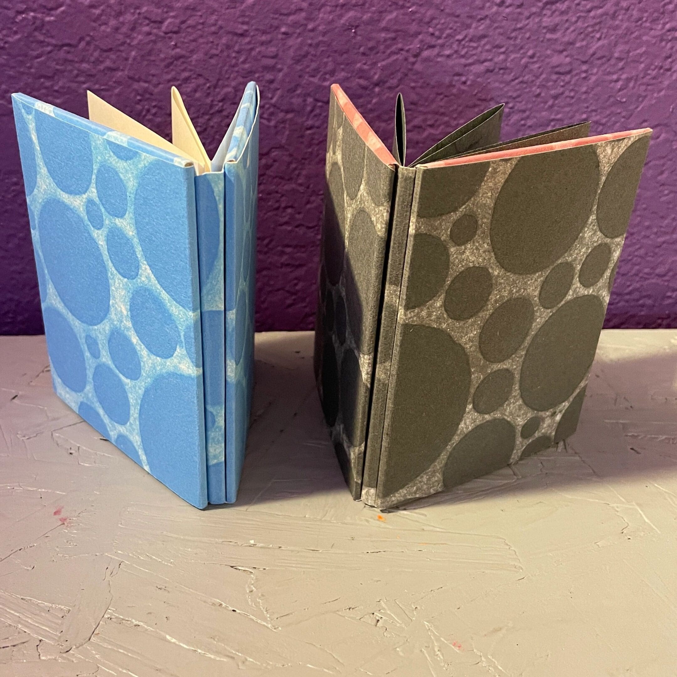 Two books with a blue and green cover on the left.