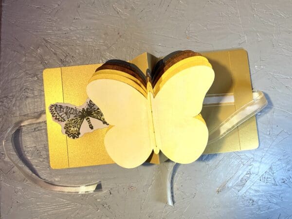 Butterfly Book